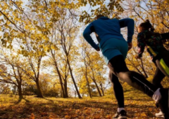 超声骨密度分析仪述跑步前没有做好充足热身运动强烈的运动是导致骨折“凶手