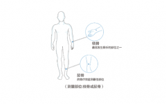 超声波法最为普遍,无辐射检测应该是说的超声检测,检测原理利用骨质对超声衰