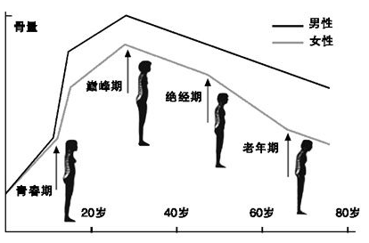 便携式骨密度仪器生产厂家国康